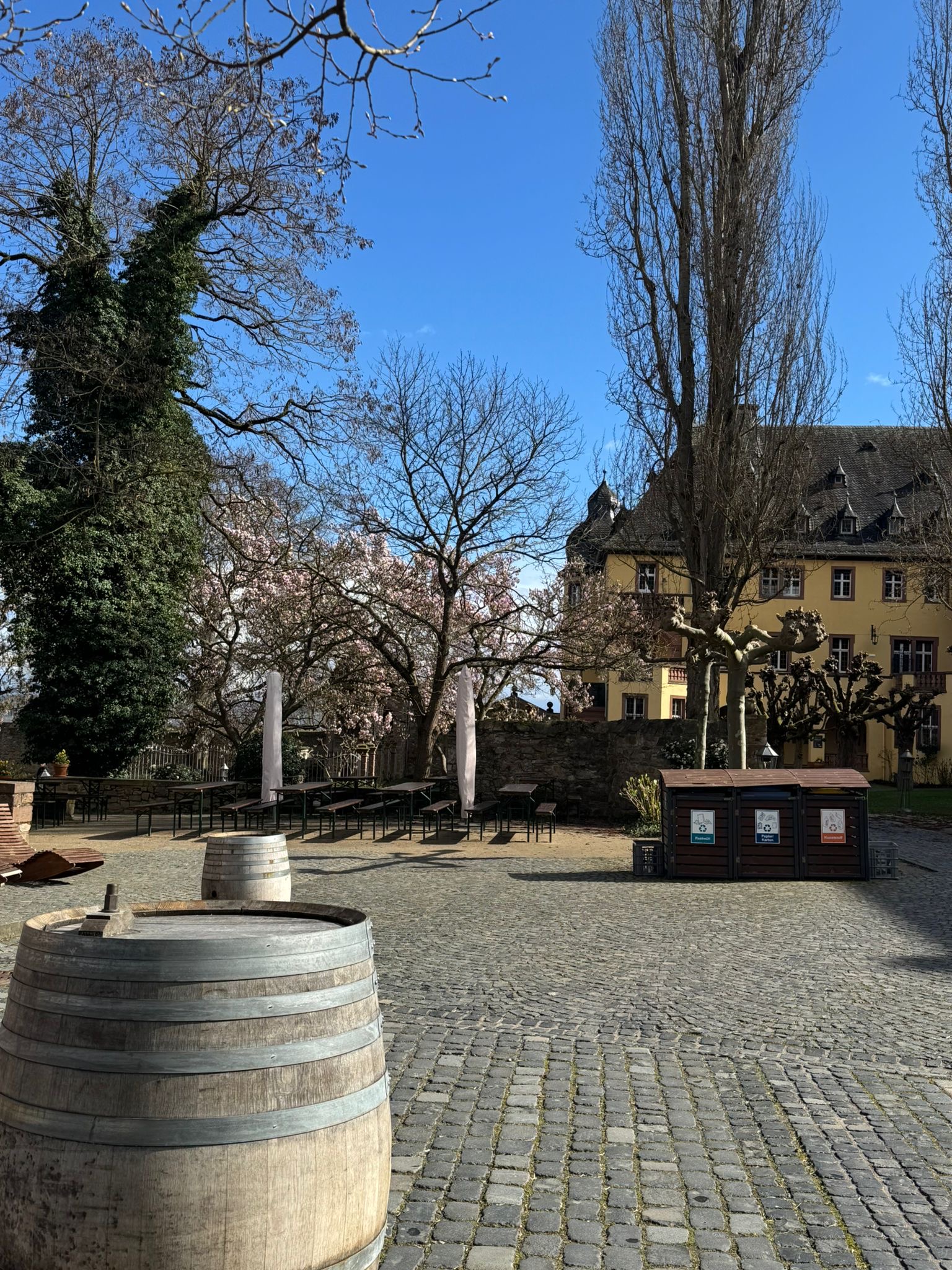 Mehr über den Artikel erfahren Rheingau Exkursion der Klasse 3KSM33